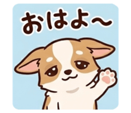 823036545