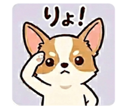 823036548