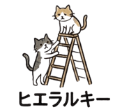 823037512