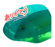 823051180