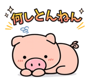 823051523