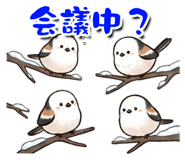 823052448