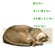 823065005