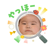 823066080