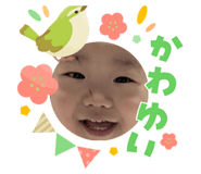 823066689