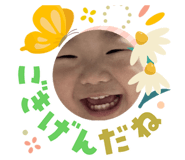 823066693