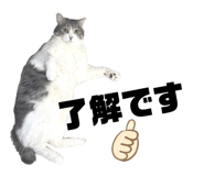 823071801