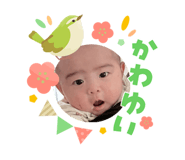 823077586