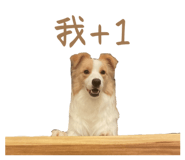 823082565