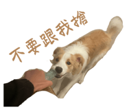 823082566
