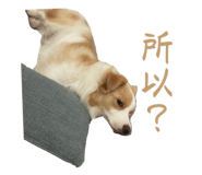 823082567