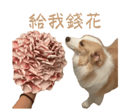 823082569