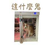 823082578