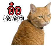823115130
