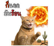 823115132