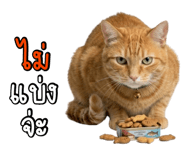 823115138