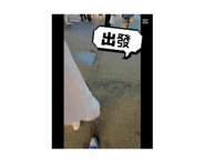 823139796