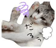 823142008