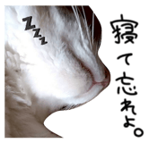 823142015