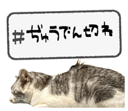 823142031