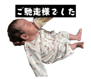 823162635
