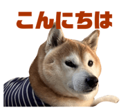 823169209
