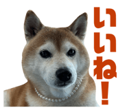 823169220