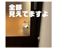 823169226