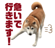 823169230