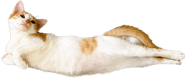 823182185