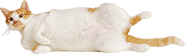 823182189
