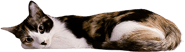 823182190