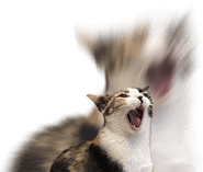 823182198