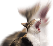 823182200