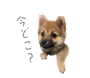 823194569