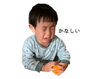 823198006
