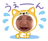 823199305
