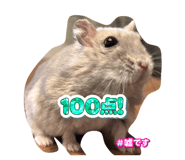 823200068