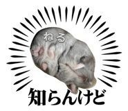 823200070