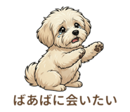 823204310