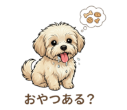 823204316