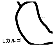 823205334