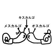823205335