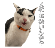 823206267