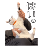 823206269