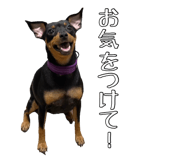 823206271