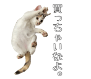 823206275