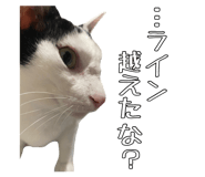 823206276