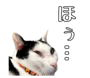 823206277