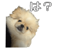 823206280